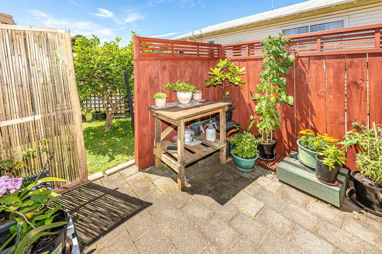 6A Nikau Street Tawhero_20