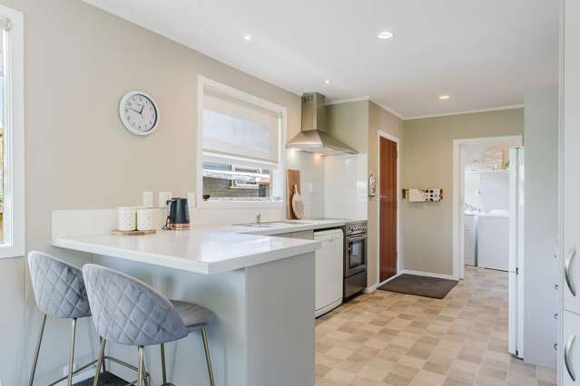 64 Herbert Road Queenwood_4