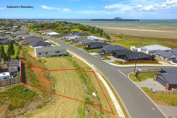 56 Bert Wall Drive Omokoroa_7