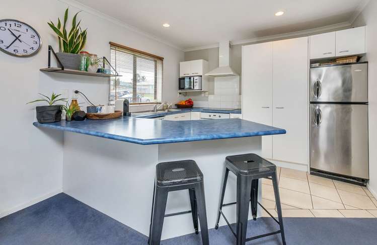 11 Ksenia Drive Flat Bush_7