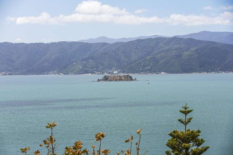 156 Nevay Road Karaka Bays_8