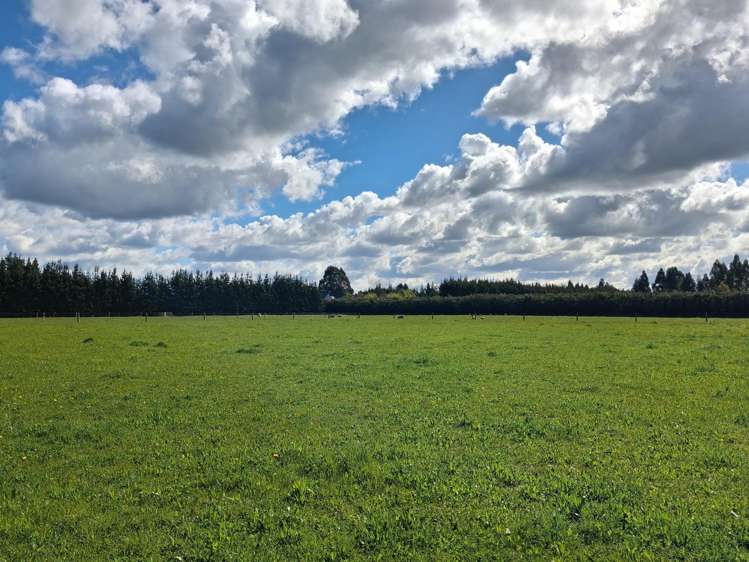 617 McLaughlins Road Darfield_7