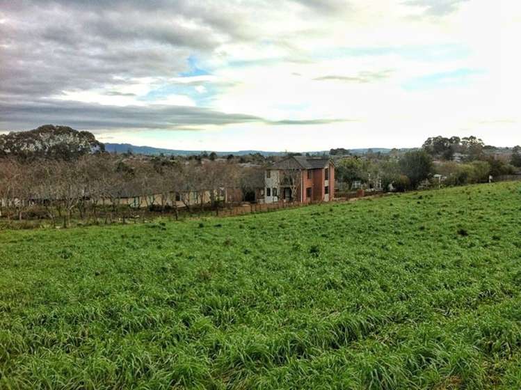 6 Pear Tree Lane Glenview_14