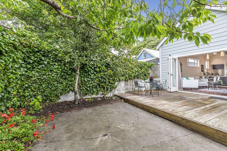 121 Aro Street Aro Valley_15