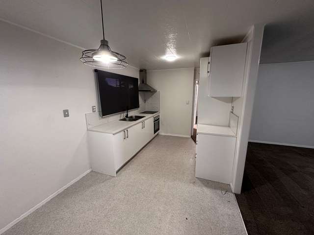 133 Finlayson Avenue Clendon Park_2