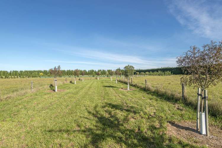 116 Mchughs Road Swannanoa_5