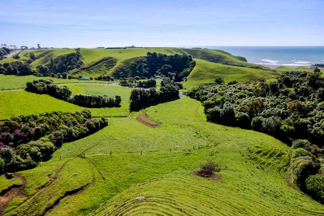 1 Washer Road Omata_4