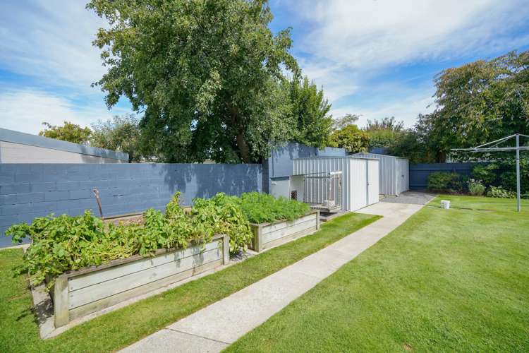 106 Ward Street Waverley_20