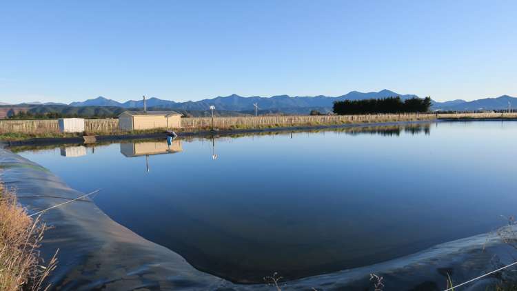 816 Waihopai Valley Road Waihopai Valley_2