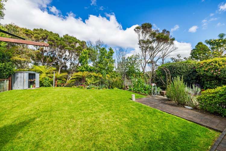 5 Tui Grove Te Haumi_13