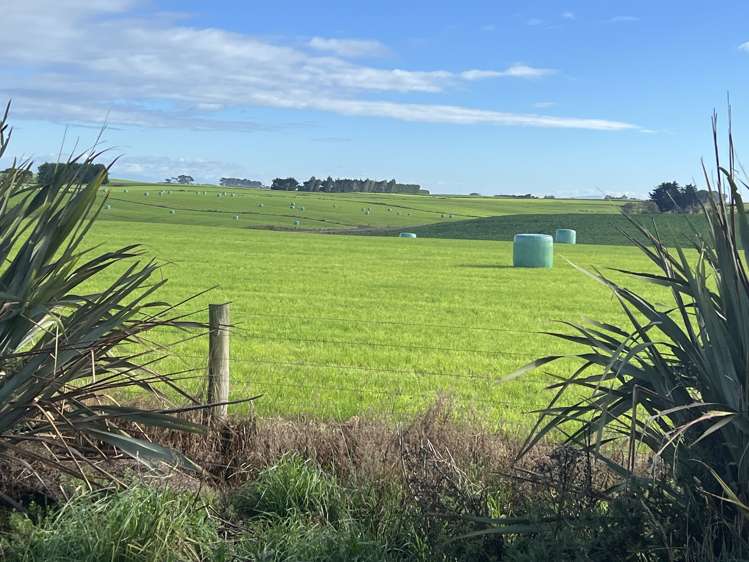 165 Orr Road Waimatua_6