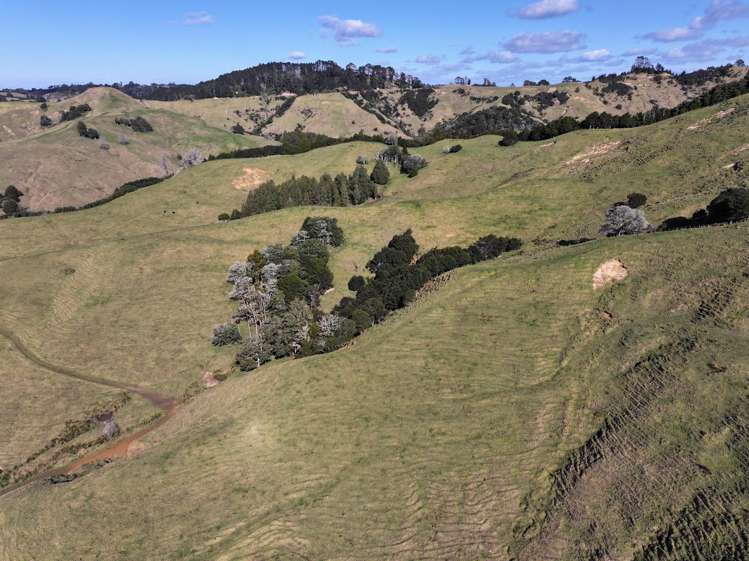 77 Remiger Road Puhoi_21