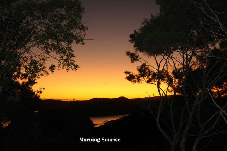 32 Totara Heights Way Paihia_6