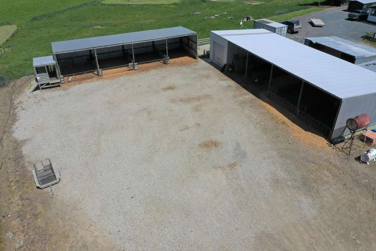 428 Wairuna Settlement Road Clinton and Surrounds_6