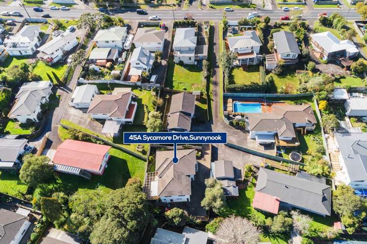 45a Sycamore Drive Sunnynook_18