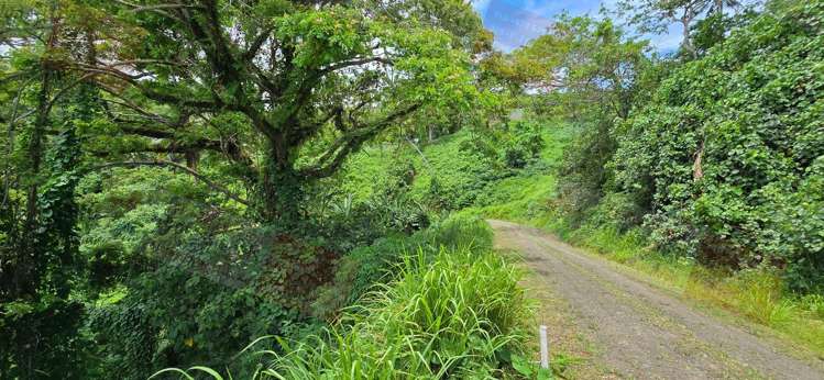 Address withheld Savusavu_21