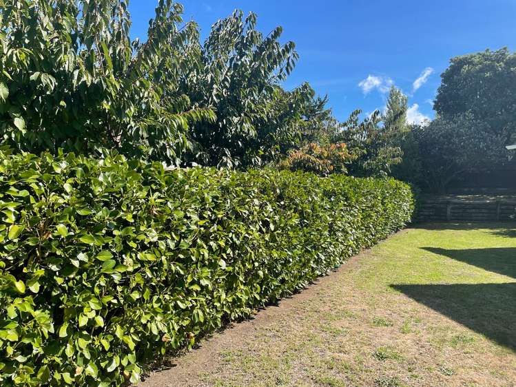 1 Tudor Court Paraparaumu Beach_15