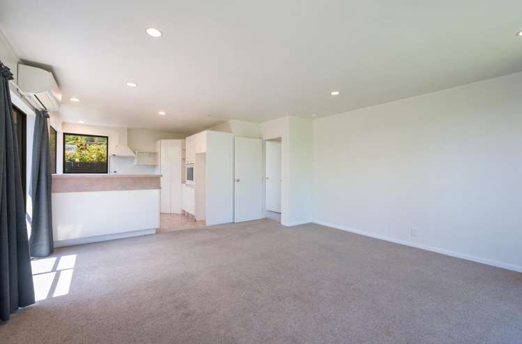 14a Green Street Tahunanui_10