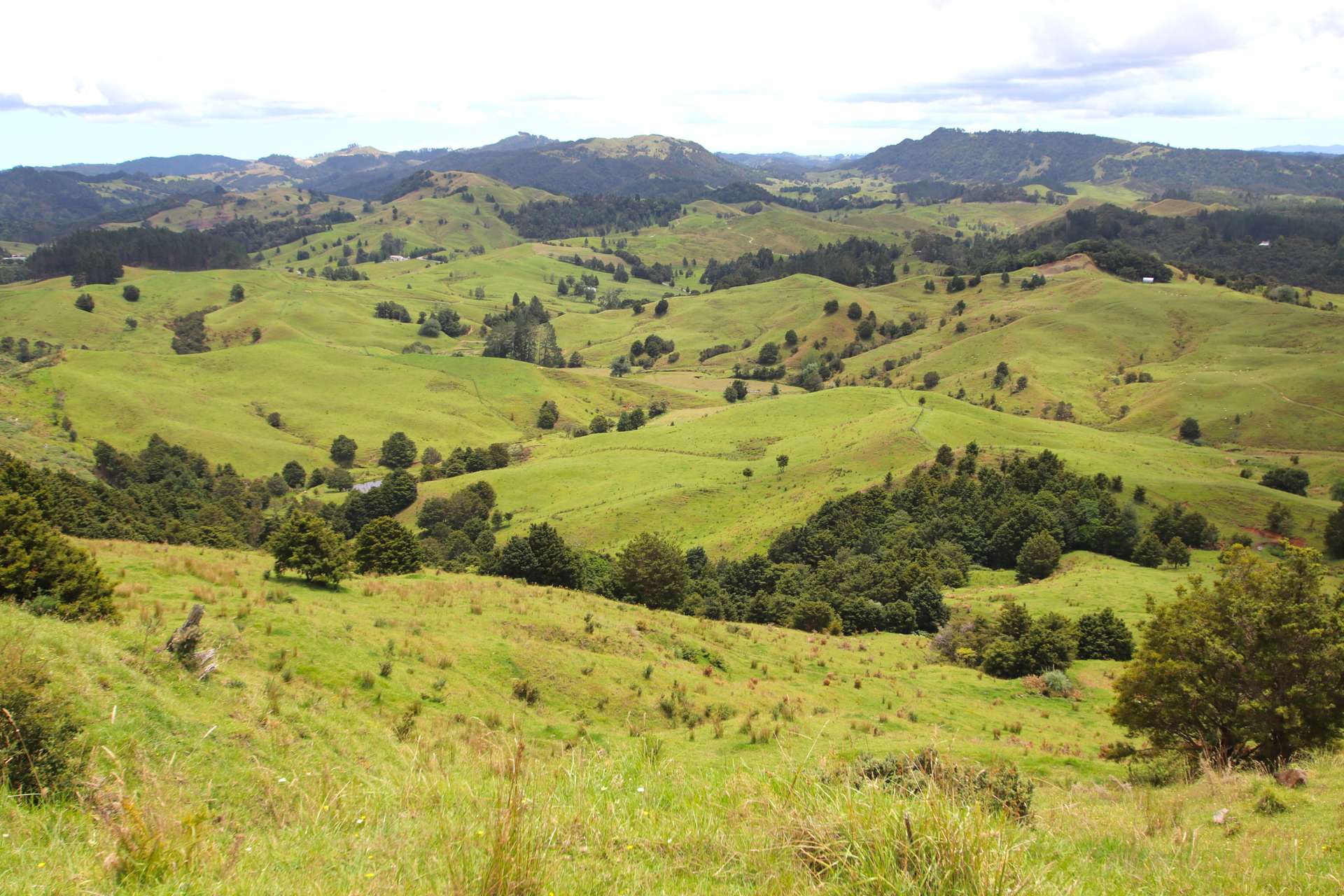 728 Peria Valley Road Peria_0