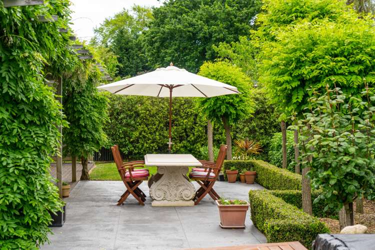 36 East Street Greytown_11