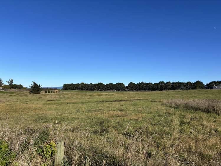 150 Rocklands Road Totara_20