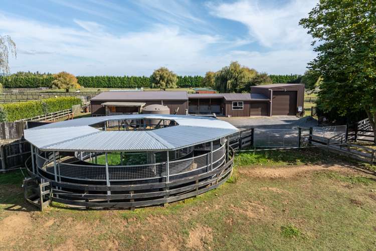 81 Racecourse Road Cambridge_4