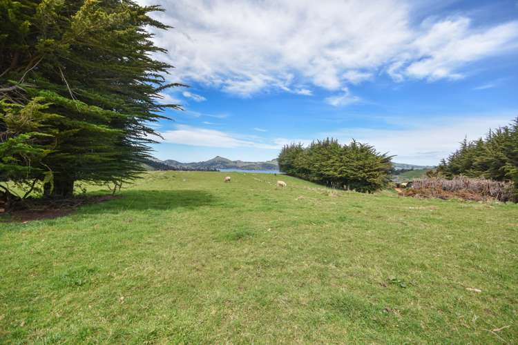 62 Fairview Terrace Sawyers Bay_12