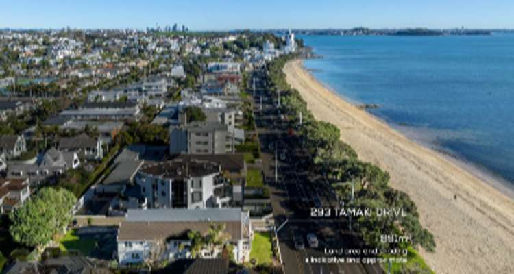 293 Tamaki Drive_0