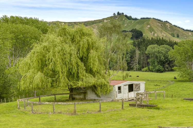 2266 Kahuranaki Road Elsthorpe_26