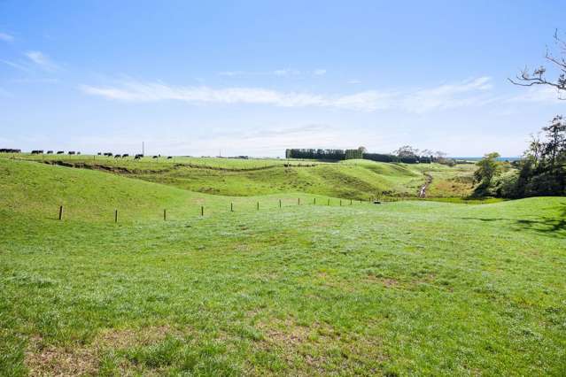 Hukutaia Road Opotiki and Surrounds_2