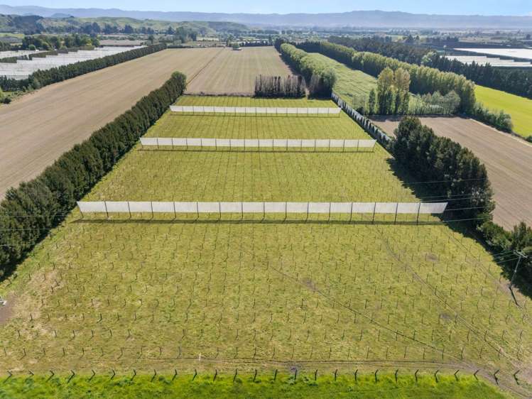 390 Macdonald Road Te Teko_18