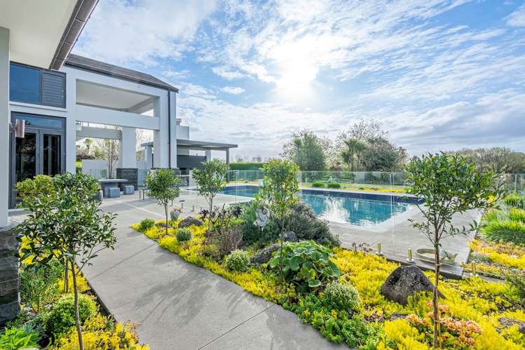 11 Kingscliff Rise Dairy Flat_31