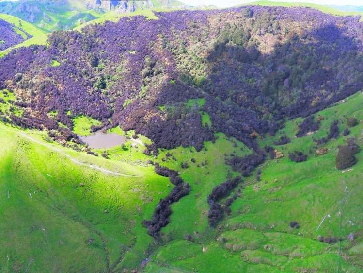 743 Ngaumu Road Wainuioru_8