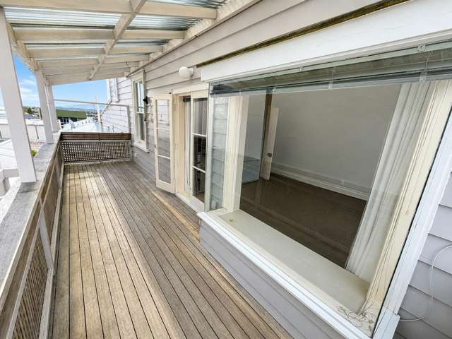 22A Jervois Road Ponsonby_4
