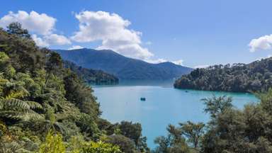 1703 Kenepuru Road_4
