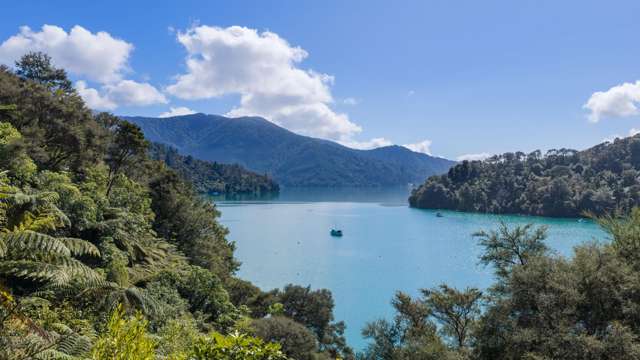 1703 Kenepuru Road Kenepuru Sound_4