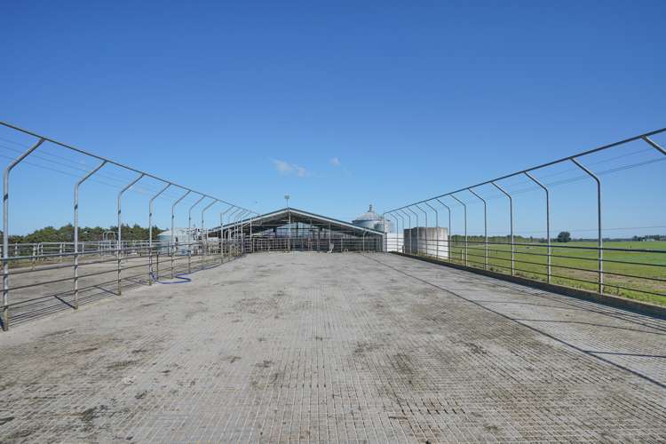 729 Terrace Road Bankside_6