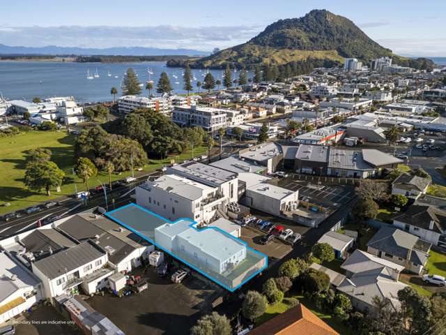 233 Maunganui Road Mount Maunganui_1