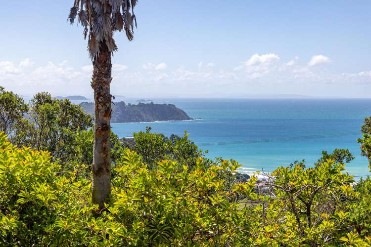 100 Trig Hill Road Onetangi_19