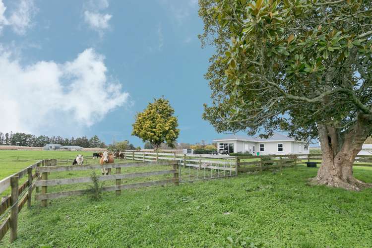 318b Te Kowhai Road Te Kowhai_5