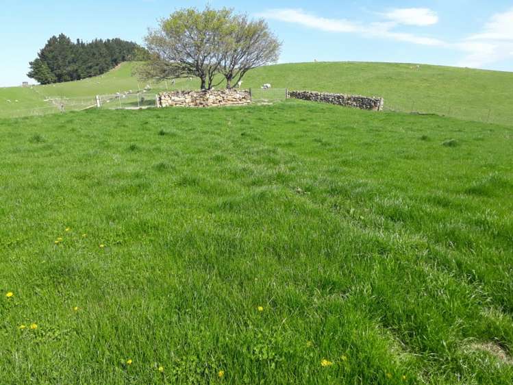 144 Tokarahi-Duntroon Road Five Forks and Surrounds_6