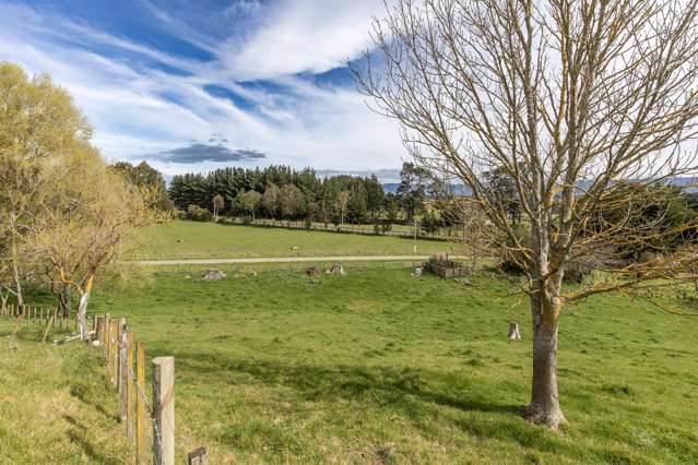 134c Tipapakuku Road Dannevirke_1