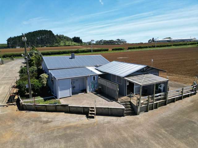 29 Dazeley Road Pukekohe_3