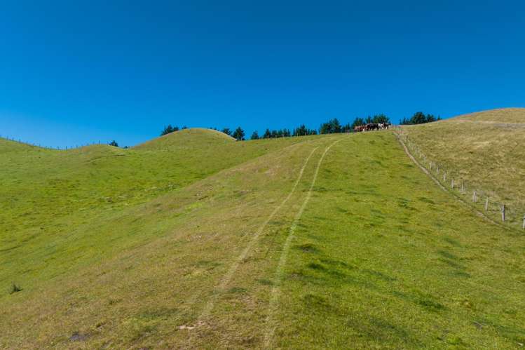 363 Caseys Road Blind River_16