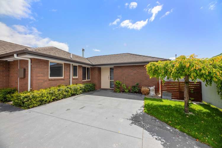 37A Hutcheson Street Mayfield_0