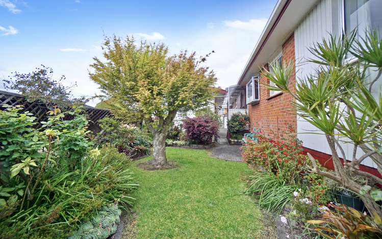 92b Cameron Road Te Puke_13