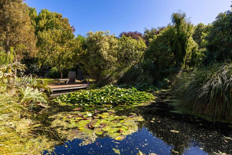 4A Vickerman Street Grovetown_26