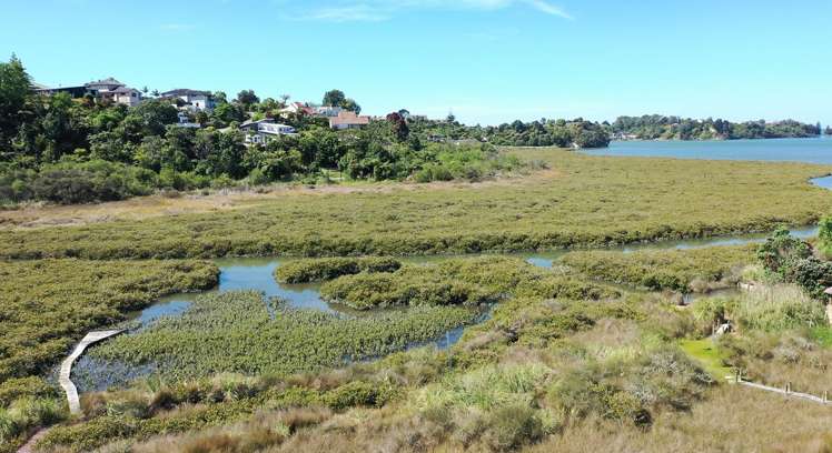 99 Welcome Bay Road Welcome Bay_15