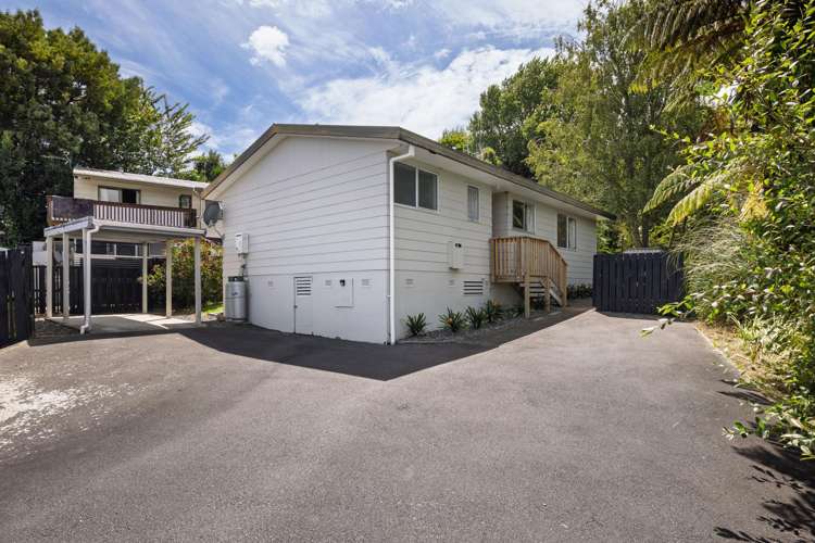 50b Westwood Street Bellevue_18