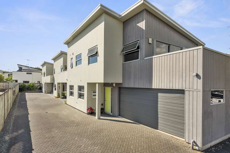 23b Richmond Street Whitiora_13